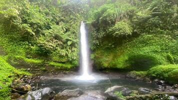 skön vattenfall, som heter curug sågare i de mitten av indonesien regnskog, asiatisk skog dold pärla foto