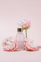 rosa glas kosmetisk flaska med en dropper på en rosa bakgrund med reste sig blommor i blomma. naturlig kosmetika begrepp, naturlig grundläggande olja och hud vård Produkter foto