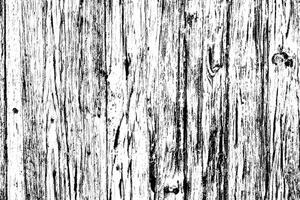 bedrövad trä spannmål textur foto