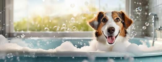 ai genererad en glad hund njuter en bubbla bad med en fönster se. en Lycklig hund med en ljus uttryck sitter i en sudsy badkar. panorama med kopia Plats. nationell hund dag. foto