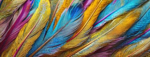 ai genererad abstrakt färgrik påfågel fjädrar närbild. flamboyant textur bakgrund. panorama med kopia Plats. foto