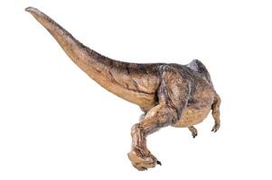 t Rex tyrannosaurus dinosaurie på isolerat bakgrund foto