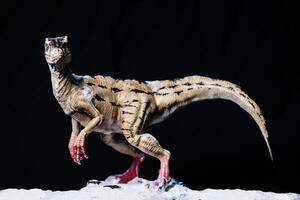 velociraptor dinosaurie i de mörk foto