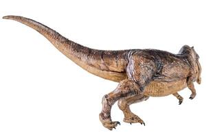 t Rex tyrannosaurus dinosaurie på isolerat bakgrund foto