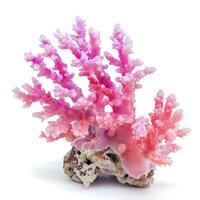 ai genererad färgrik naturlig rosa korall isolerat på vit bakgrund för marint tema mönster, ai genererad. foto