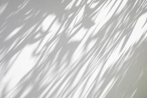 abstrakt naturlig träd löv skugga på vit vägg bakgrund foto