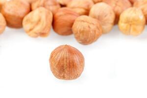 makro hasselnötter nötter på en vit bakgrund foto