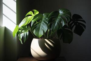 ai genererad monstera deliciosa växt i solljus. generera ai foto