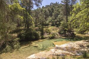 landskap och spår av de skön natur av de sierra de cazorla, jaen, Spanien. natur semester begrepp. foto