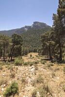 landskap och spår av de skön natur av de sierra de cazorla, jaen, Spanien. natur semester begrepp. foto