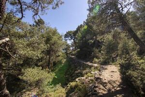 landskap och spår av de skön natur av de sierra de cazorla, jaen, Spanien. natur semester begrepp. foto