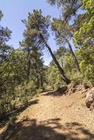 landskap och spår av de skön natur av de sierra de cazorla, jaen, Spanien. natur semester begrepp. foto