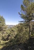 landskap och spår av de skön natur av de sierra de cazorla, jaen, Spanien. natur semester begrepp. foto