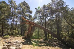 landskap och spår av de skön natur av de sierra de cazorla, jaen, Spanien. natur semester begrepp. foto