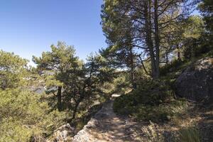 landskap och spår av de skön natur av de sierra de cazorla, jaen, Spanien. natur semester begrepp. foto