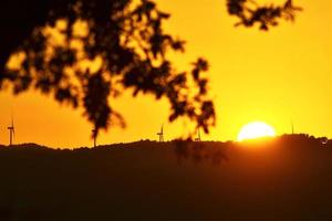 siluett av ett träd med den glödande solnedgången bakom horisonten foto