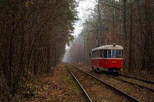 de spårvagn rider på de skenor i de skog. dimmig dag i höst. miljömässigt vänlig stad transport. Kiev, ukraina. elektrisk spårvagn. dimma. lång fartyg tall träd.. tall. natur landskap. vagn foto