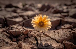 ai genererad natur jord torka blomma. generera ai foto