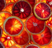 röd apelsiner frukt bakgrund. skivad saftig orange. mat. sommar begrepp. närbild på de ljus. genomskinlig foto