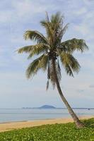 vacker tropisk strand i Thailand foto