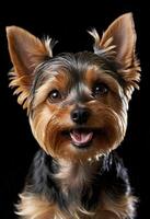 ai genererad förtjusande yorkshire terrier med en stor leende foto