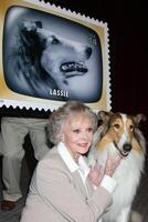 juni lockhart lassie på de usps stämpel avslöjande av frimärken uppfyllande tidigt tv memeoris på de TV akademi i Nej hollywood, ca på augusti 11, 2009 2009 foto