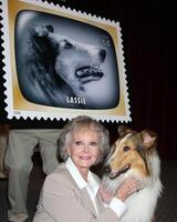 juni lockhart lassie på de usps stämpel avslöjande av frimärken uppfyllande tidigt tv memeoris på de TV akademi i Nej hollywood, ca på augusti 11, 2009 2009 foto