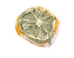 citron isolerad på vit bakgrund foto