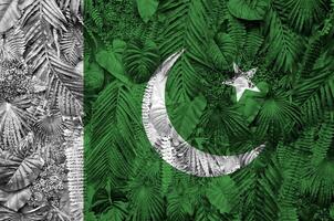 pakistan flagga avbildad på många leafs av monstera handflatan träd. trendig modern bakgrund foto