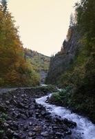 en ljus blå flod strömmande genom skog som de Sol börjar till uppsättning i en dold parkera längs de naturskön kör i hoverla bergen område foto