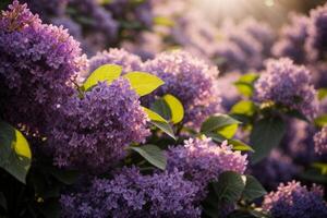 ai genererad lila blomma tapet foto