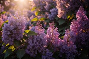 ai genererad lila blomma tapet foto