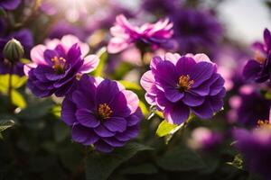 ai genererad violett blomma tapet foto