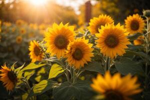 ai genererad bruka blomma tapet abstrakt foto