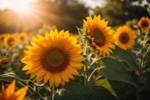 ai genererad bruka blomma tapet abstrakt foto