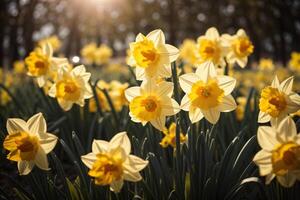 ai genererad bruka blomma tapet abstrakt foto