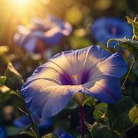 ai genererad morgon- ära blomma tapet foto