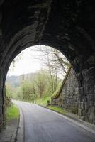 når ljuset i slutet av tunneln. en stig och en grön skog koncept hopp, framtid, slut foto