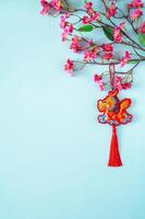en drake hängsmycke hängande på rosa kinesisk blomma träd på blå bakgrund för kinesisk ny år begrepp. foto