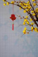 en hängande hängsmycke ord betyda välsignelse på gul kinesisk blomma träd på vägg bakgrund för kinesisk ny år begrepp. foto
