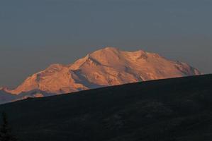 rosa soluppgång på denali foto