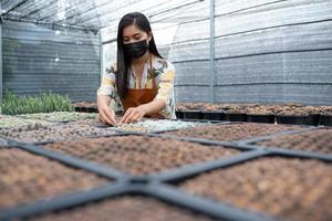 asiatisk ung kvinna som bär en mask som arbetar i växthusgården