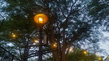 trädgård se med natt atmosfär och skön ljus interiör foto