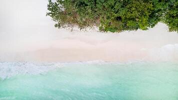 tropisk paradis, antenn strand lugn foto