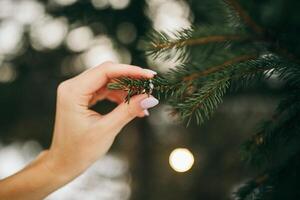 en kvinnas hand innehar en platina guld och diamant bröllop ringa på en tall gren. vinter- bröllop begrepp. bröllop i en rustik stil. foto