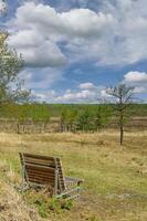 resten bänk i elmpter schwalmbruch natur boka, brueggen,niederkruechten,nedre Rhen region, Tyskland foto