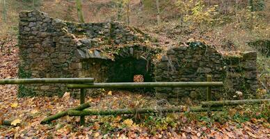 ruin av historisk kalk ugn på dussel flod i känd neandertal stänga till haan,bergisches land, norr rhen- Westfalen, Tyskland foto