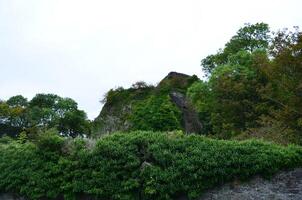 grön tillväxt längs de ruiner av dunollie slott foto