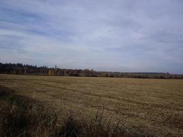 panorama av ett senhöstfält foto