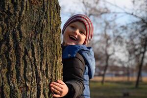 liten pojke är dölja Bakom en stor träd. en barn kikar ut från Bakom en träd trunk. foto